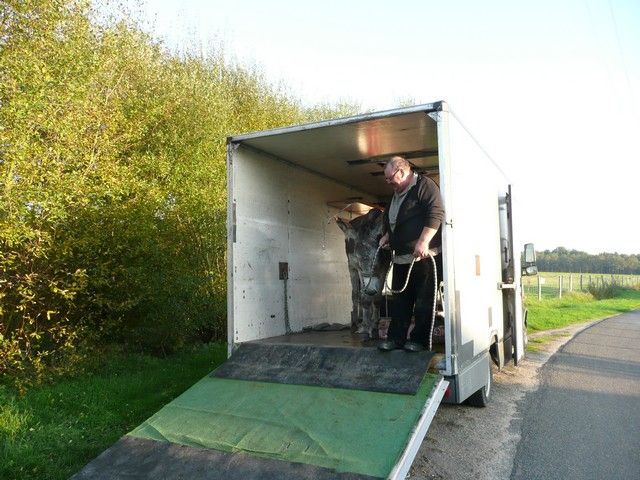 Balthazar et leonard Arrivee (15).jpg